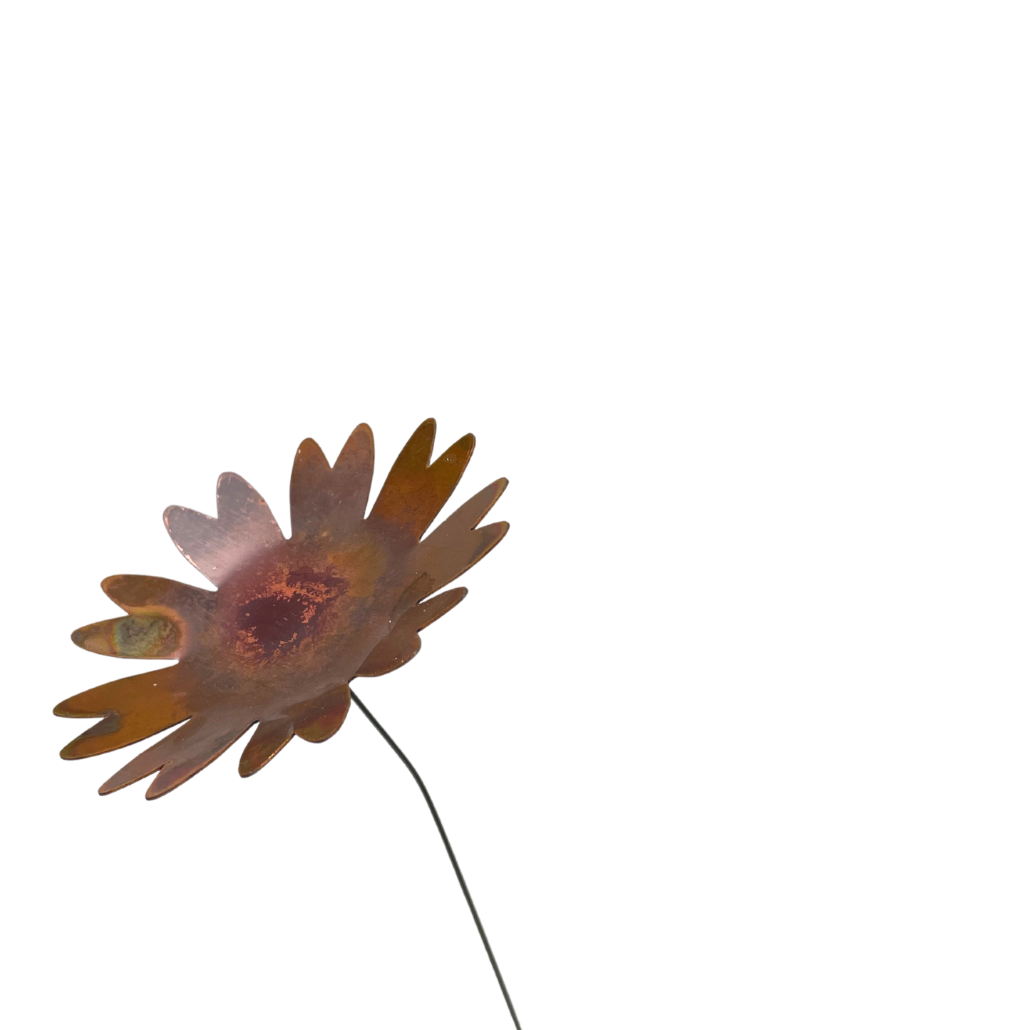 Extra Large Copper Daisies- Bare