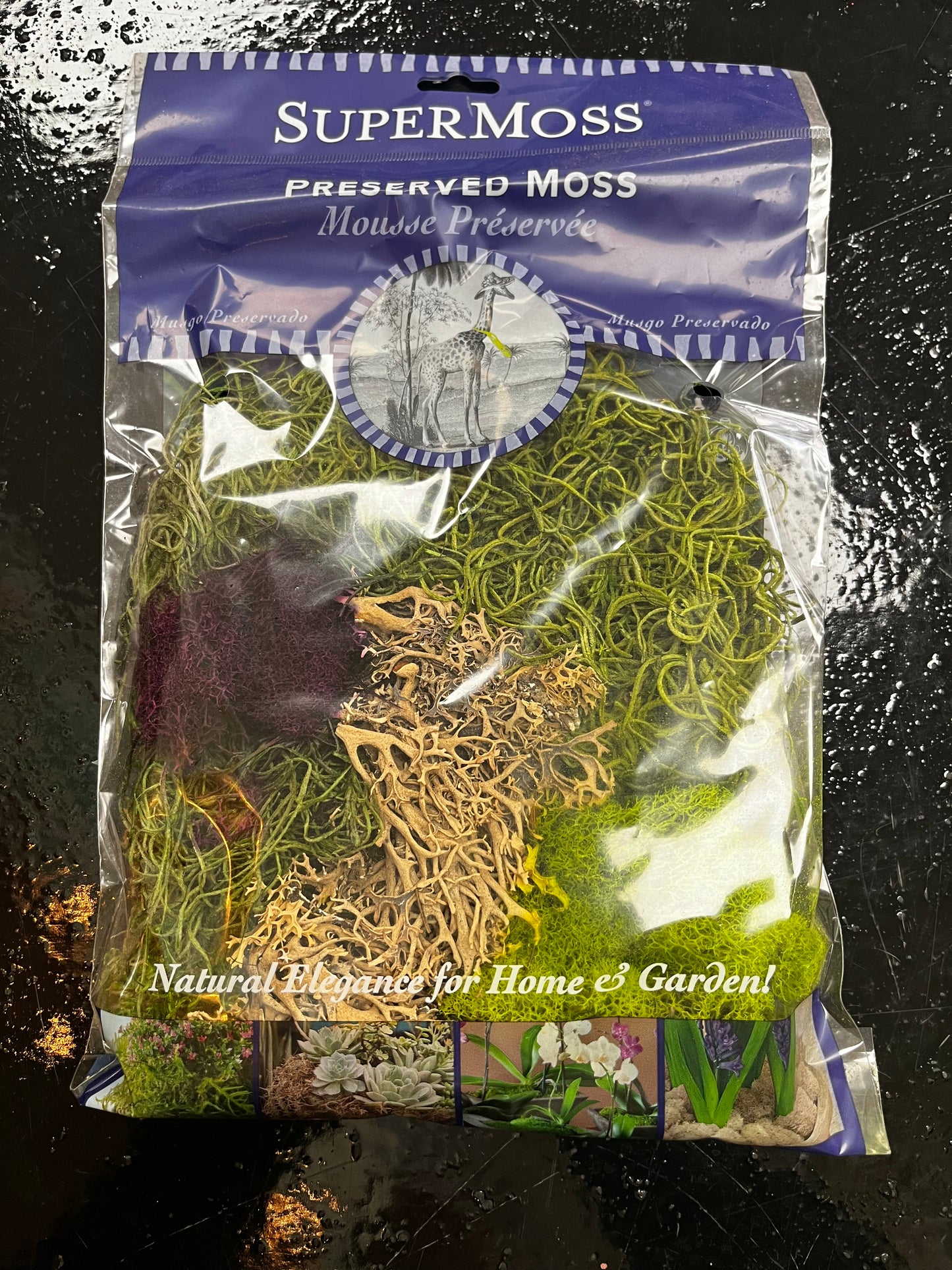 Preserved Moss Full Bags