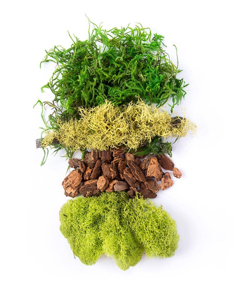 Preserved Moss Full Bags