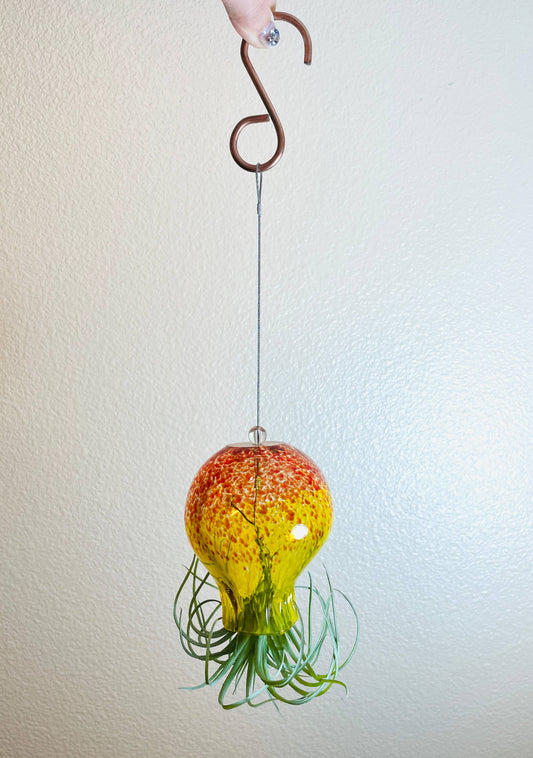 Octopus Hand Blown Air Plant Holder (no plants)