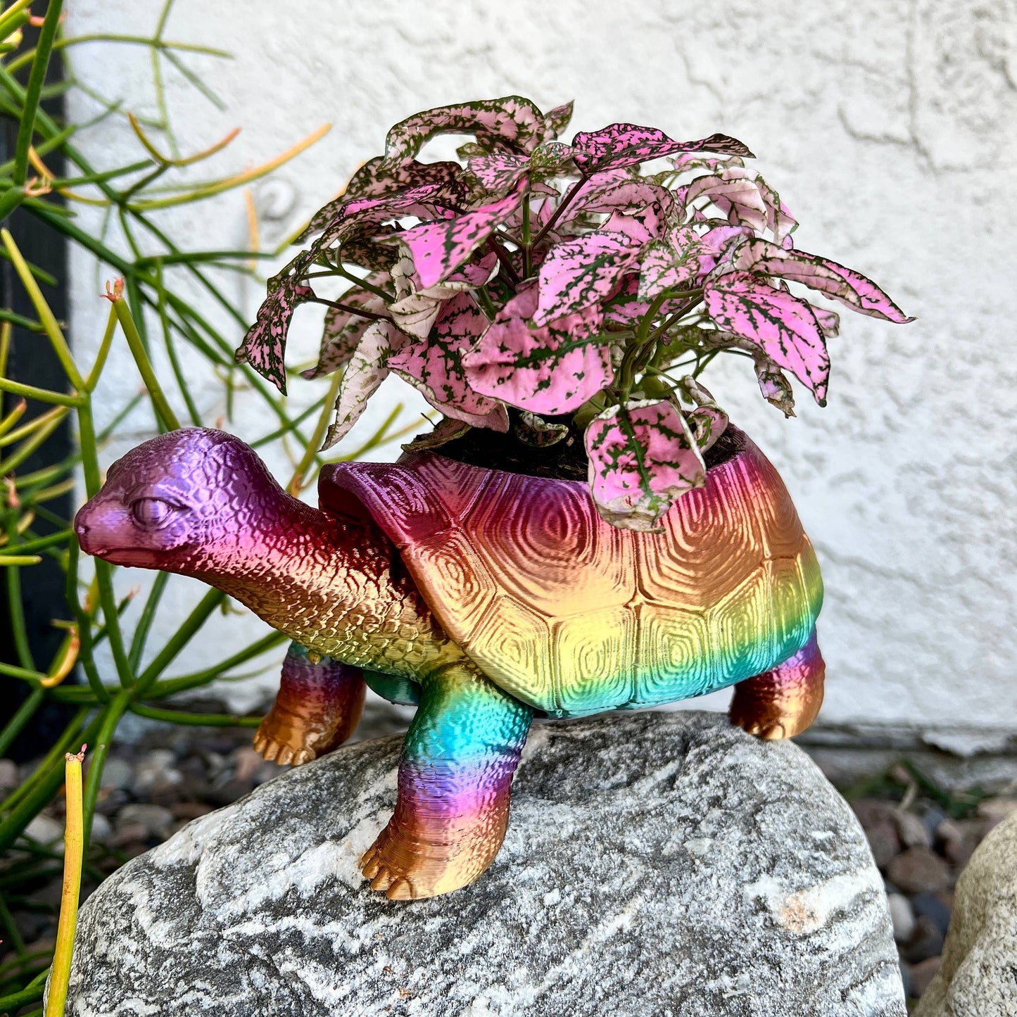 Turtle Planter 3D Printed Tortoise Realistic Garden Decor: Silk Shiny Rainbow / 3