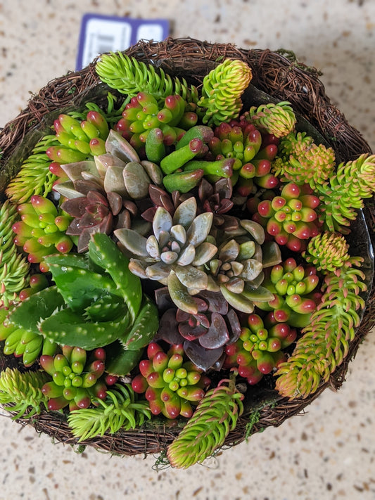 Succulent Baskets & Flower Delivery Order Form Page