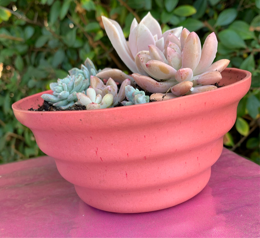 Peach Melamine Bowls W/ Saucer